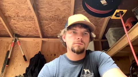 Snapshot of treeman817 chatting on 11, 6, 2026 treeman817 online show from 11, 6, 2026