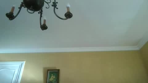 trekbeestje online show from 8, 4, 2026