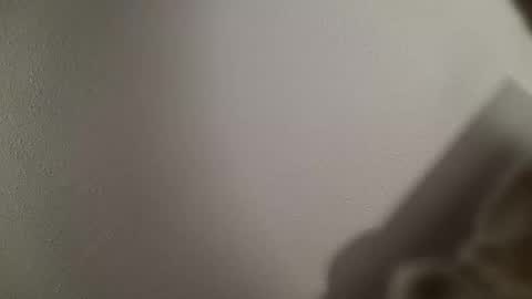 trinicdn online show from 25, 10, 2025