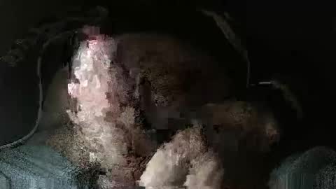 Snapshot of triponsex chatting on 24, 3, 2026 triponsex online show from 24, 3, 2026