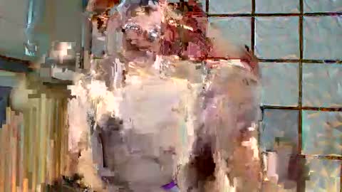 trixie_foxslut online show from 12, 2, 2026