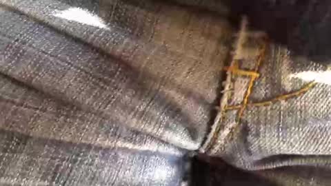 Snapshot of trobelle chatting on 18, 11, 2025 trobelle online show from 18, 11, 2025