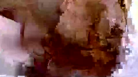 troy1965 online show from 10, 4, 2026