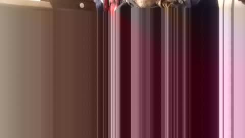 trypodman online show from 11, 12, 2024