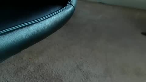 tthornburg online show from 9, 4, 2026