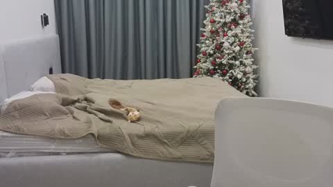 Ariana online show from 30, 12, 2024