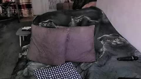 Lana online show from 16, 3, 2026