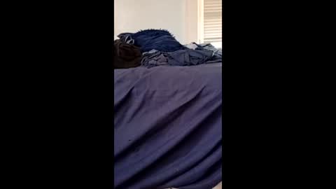 twe4kseeker online show from 21, 4, 2026