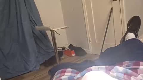 twest84 online show from 2, 11, 2025