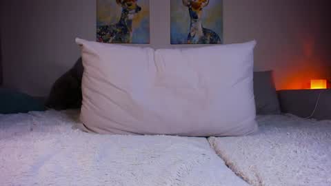 Snapshot of twiinkie_pie chatting on 18, 12, 2024 Maria 3 online show from 18, 12, 2024