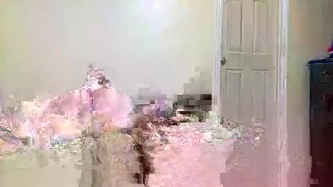 twinflamecaps online show from 9, 4, 2026