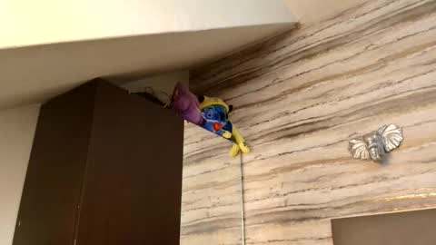 twinslovers_ online show from 6, 1, 2026