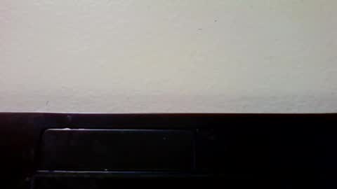 twootall online show from 24, 3, 2026