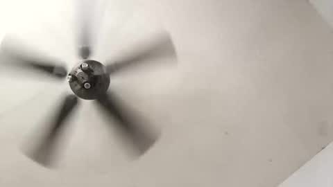 Aldo rasid online show from 19, 10, 2025