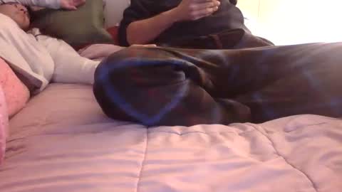 u_caught_us online show from 6, 12, 2024