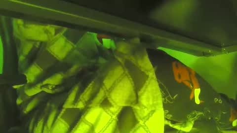 uncleremusway online show from 16, 1, 2025