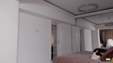 Silvia online show from 15, 12, 2024