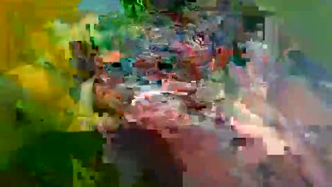 Snapshot of ur_zaddy4now chatting on 24, 1, 2025 ur_zaddy4now online show from 24, 1, 2025