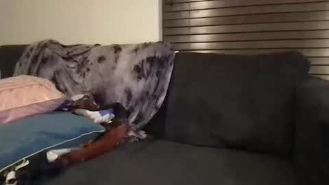 Urwivesaffair online show from 12, 10, 2025