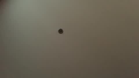 usefulhole online show from 23, 9, 2025