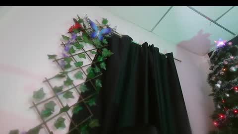 Valery online show from 16, 12, 2024