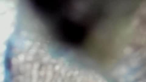 valeri_tafur online show from 13, 10, 2025