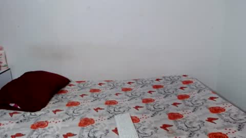 Snapshot of valery_and_santiago chatting on 3, 7, 2026 valery_and_santiago online show from 3, 7, 2026