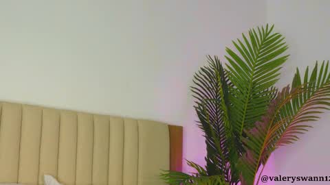 Valery swan1 online show from 22, 12, 2025