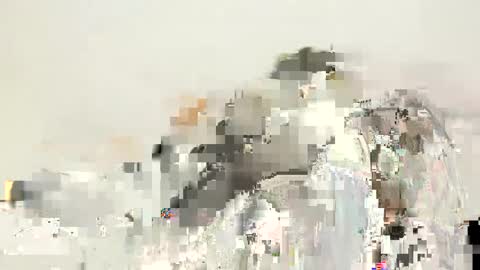 Valery swan1 online show from 20, 5, 2026
