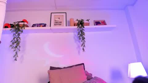 vamp  online show from 27, 11, 2025