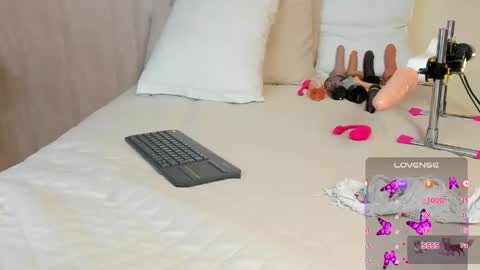 V A N E  online show from 16, 4, 2026