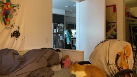 Vanessa  online show from 4, 1, 2025