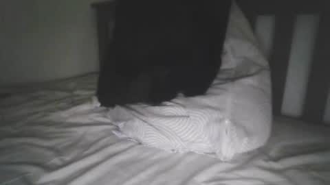 kerala mallu boy online show from 18, 9, 2025