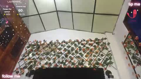 Aurora Cooper online show from 27, 11, 2025