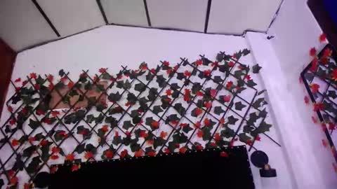 Aurora Cooper online show from 1, 12, 2025