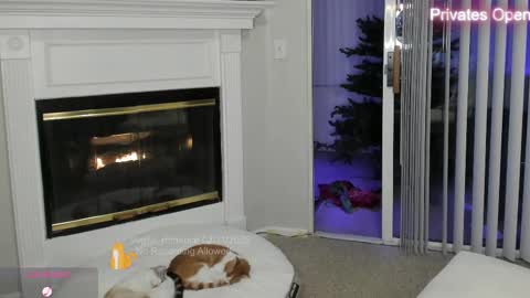 vegas_romance online show from 12, 2, 2025