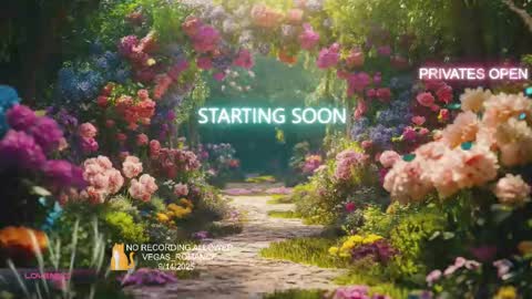 vegas_romance online show from 15, 9, 2025