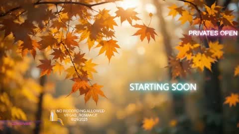 vegas_romance online show from 30, 9, 2025