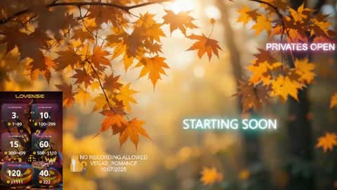 vegas_romance online show from 8, 10, 2025