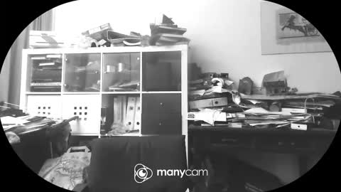 vejun2025 online show from 11, 9, 2025