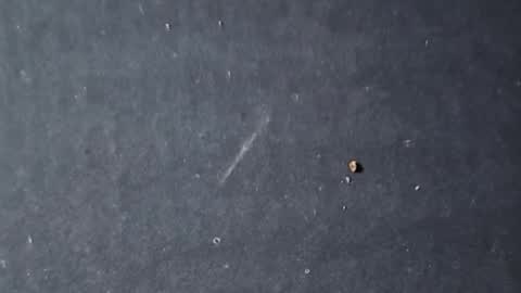 velvetsolez online show from 22, 3, 2026