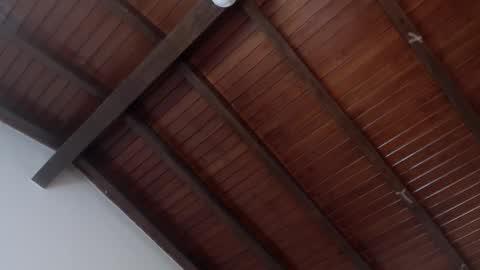 Snapshot of venusevans1 chatting on 4, 2, 2025 Venus Evans online show from 4, 2, 2025