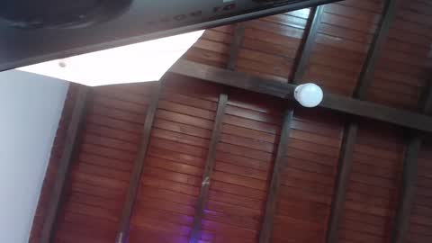 Snapshot of venusevans1 chatting on 23, 2, 2025 Venus Evans online show from 23, 2, 2025