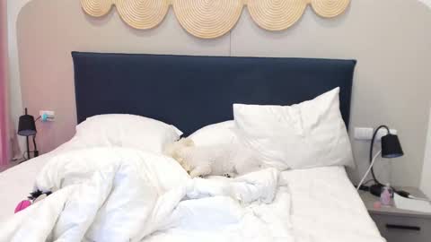 Violetta  online show from 2, 12, 2025