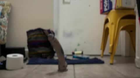 Snapshot of verona365 chatting on 22, 9, 2025 Hmartinez365 online show from 22, 9, 2025