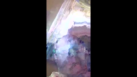 Snapshot of veronika456 chatting on 11, 6, 2026 veronika456 online show from 11, 6, 2026
