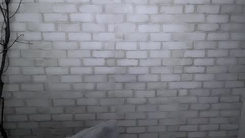 Ana online show from 30, 12, 2024