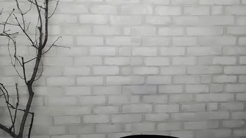 Ana online show from 16, 1, 2025