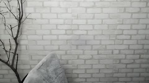 Ana online show from 23, 1, 2025