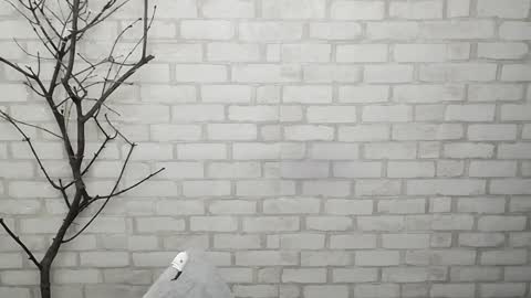 Ana online show from 3, 2, 2025